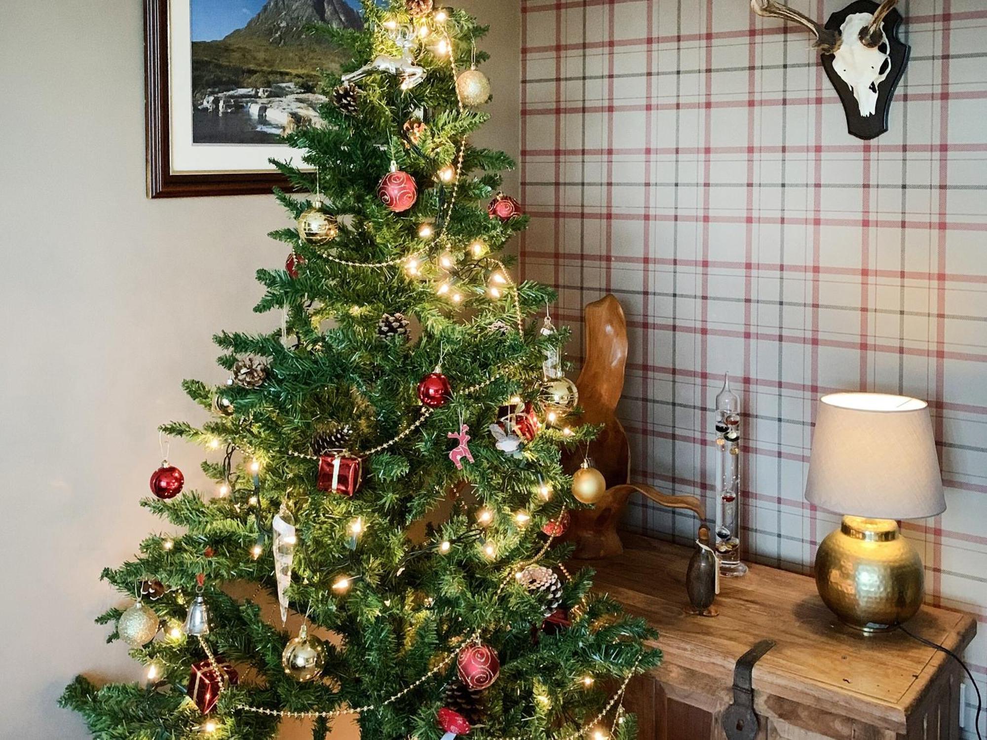 Ardross Villa Comrie Eksteriør bilde