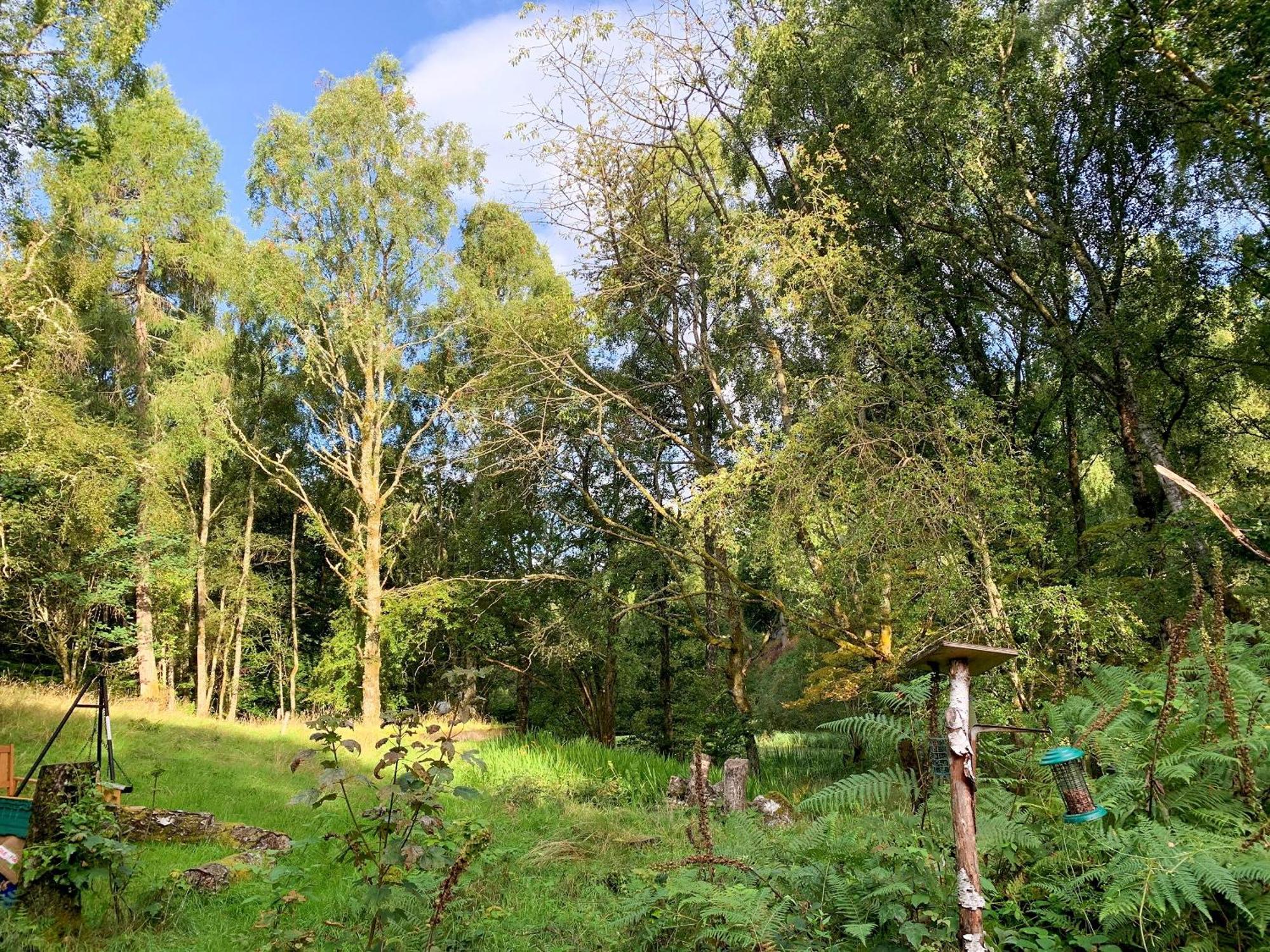 Ardross Villa Comrie Eksteriør bilde